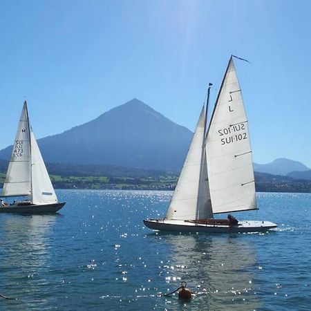 Swisshut Stunning Views Alps Lake - Chalet Erli Darligen Bagian luar foto
