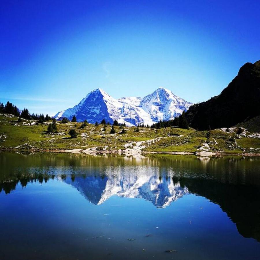 Swisshut Stunning Views Alps Lake - Chalet Erli Darligen Bagian luar foto